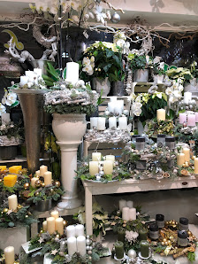 Blumen und Pflanzen HH