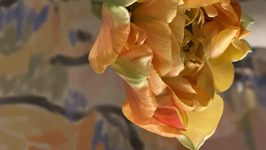 Reiter Die Blüten- & Gartengestalter Inh. I.Rau