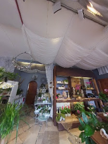 Blumenhaus Scheid