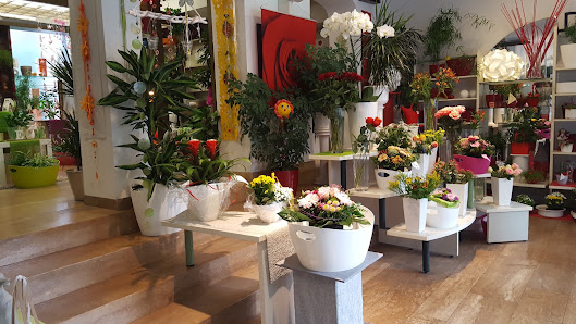 Blumenhaus Nizza