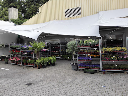 Blumen Hermann Nies