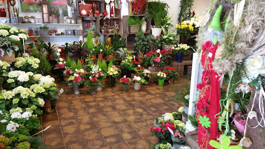 Blumen Püpke