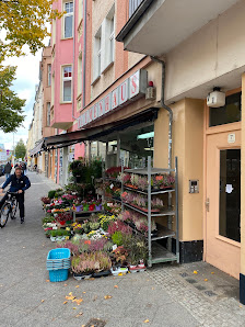 Blumenhaus
