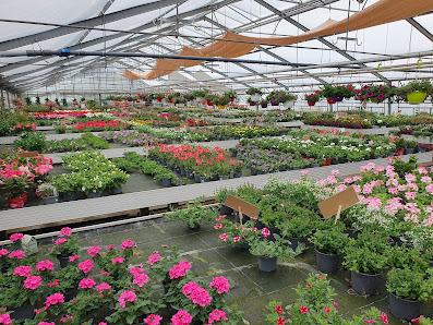 Gartenbau Lessmann
