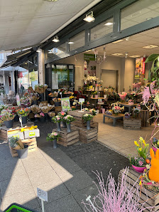 Blumen Risse Blumenladen Mönchengladbach-Innenstadt