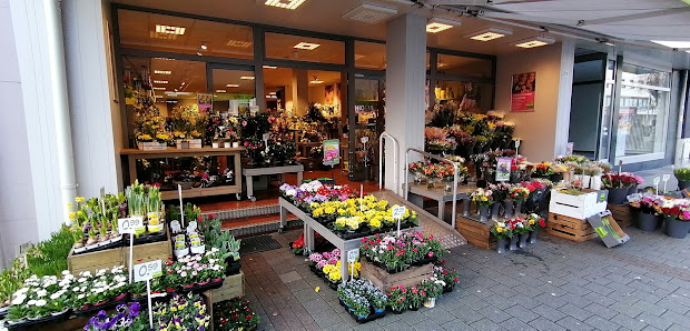 Blumen Risse Blumenladen Mönchengladbach-Rheydt