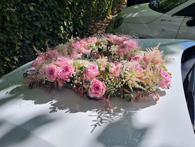 Blumen Flora