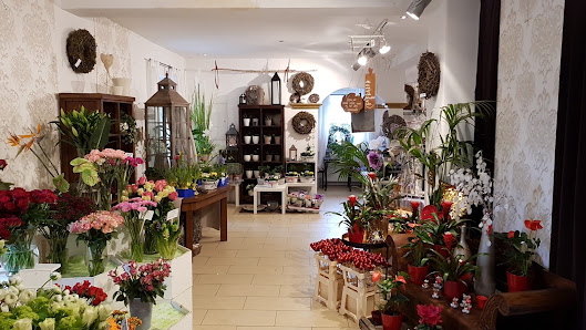 Blumen Schneider