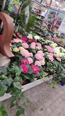 Dehner Garten-Center