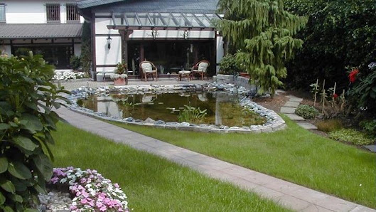 Palmen Garten- und Landschaftsbau