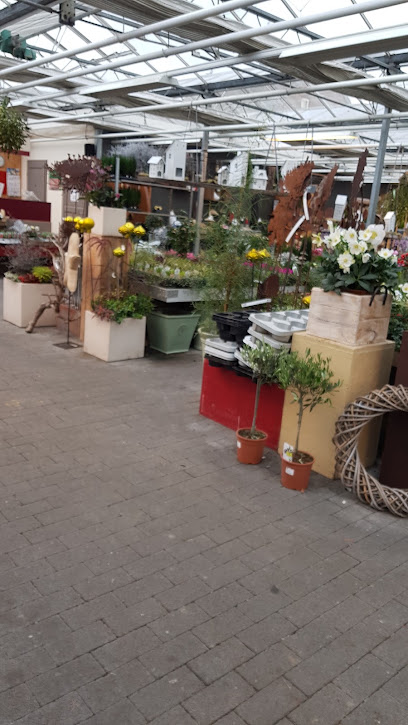 Blatt und Blume - Schockert