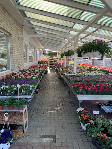 Blumenhaus