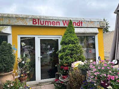 Blumen Wendt
