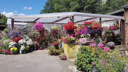 Blumen Albrecht