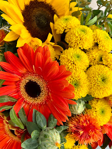 Bernfried Lollert Blumen-Groß-und Einzelhandel