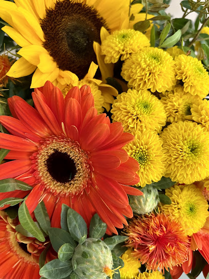 Bernfried Lollert Blumen-Groß-und Einzelhandel