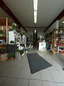 Jumbo's Blumenwelt