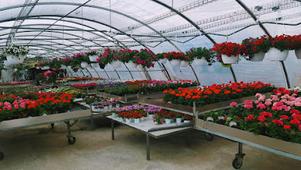 Blumen Stenner