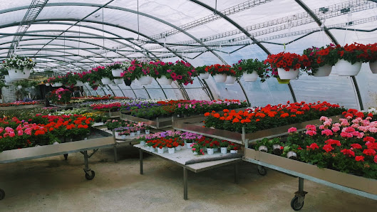 Blumen Stenner