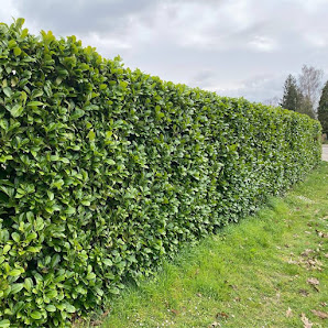 Garten und Landschaftsbau Hesse