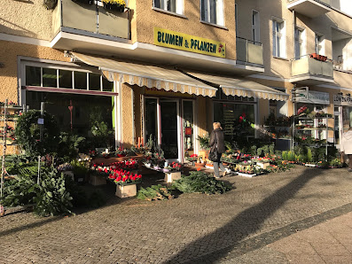 Blumen Johannisthal Sterndamm 98