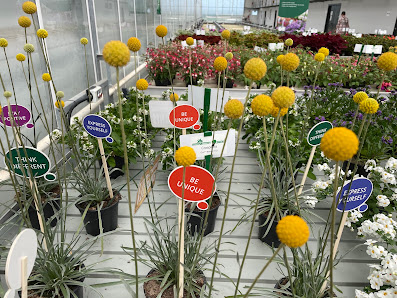 Gartenbau Bongartz GmbH