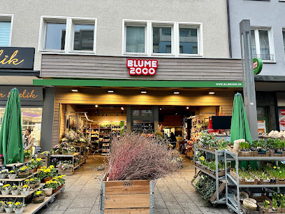 Blumengeschäft in Hagen