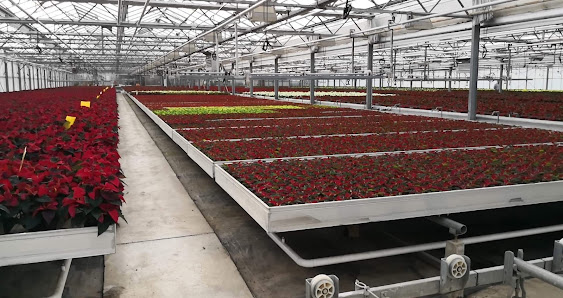 Meurers Gartenbau