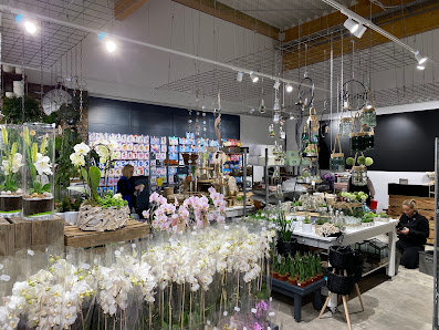 BLOOMIES Blumen & Mehr