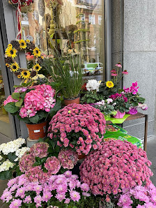 Blumenhaus Lavendel