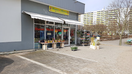 Lucia blumen&pflanzen