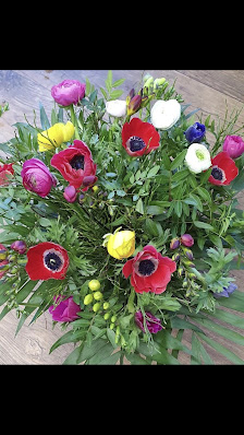 Lucia blumen&pflanzen