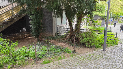 Gärtner in Hagen