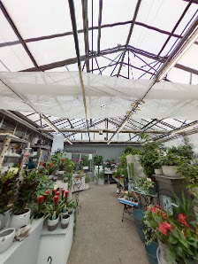 Blumen Kamm GmbH