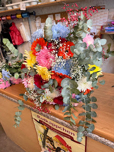 Blumen & Pflanzen