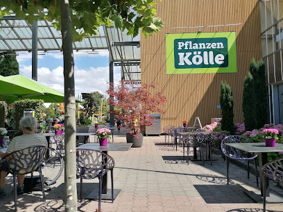 Pflanzen-Kölle Gartencenter GmbH & Co. KG Heilbronn