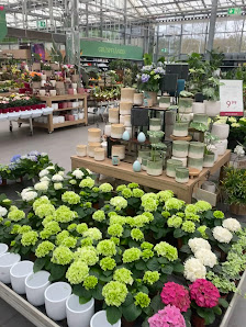 Pflanzen-Kölle Gartencenter GmbH & Co. KG Heilbronn