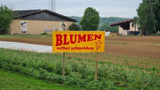 Blumen zum Selberschneiden