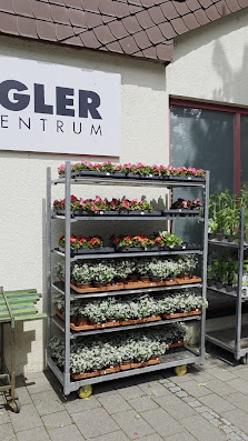 Blumen-Erika Inh. Daniela Faidt