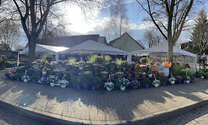 Rangsdorf
