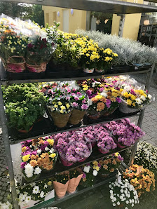Blumenhaus Mannigel