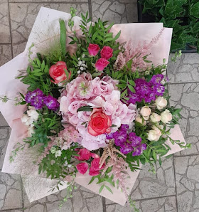 Blumen und Pflanzenladen