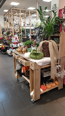 Unverblümt bei Culinara