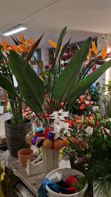 Blumenparadies