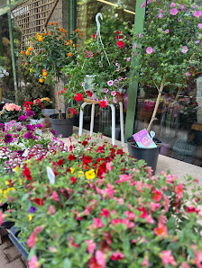 Sonnenblumenwerkstatt