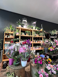 Sonnenblumenwerkstatt
