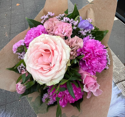 Blumen & Pflanzen