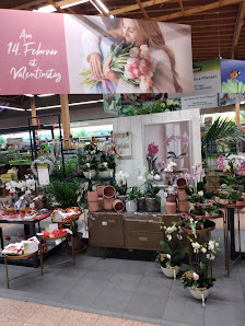 Dehner Garten-Center