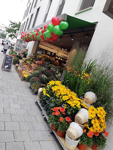 BLUME2000 Münsterplatz
