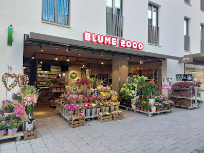 BLUME2000 Münsterplatz